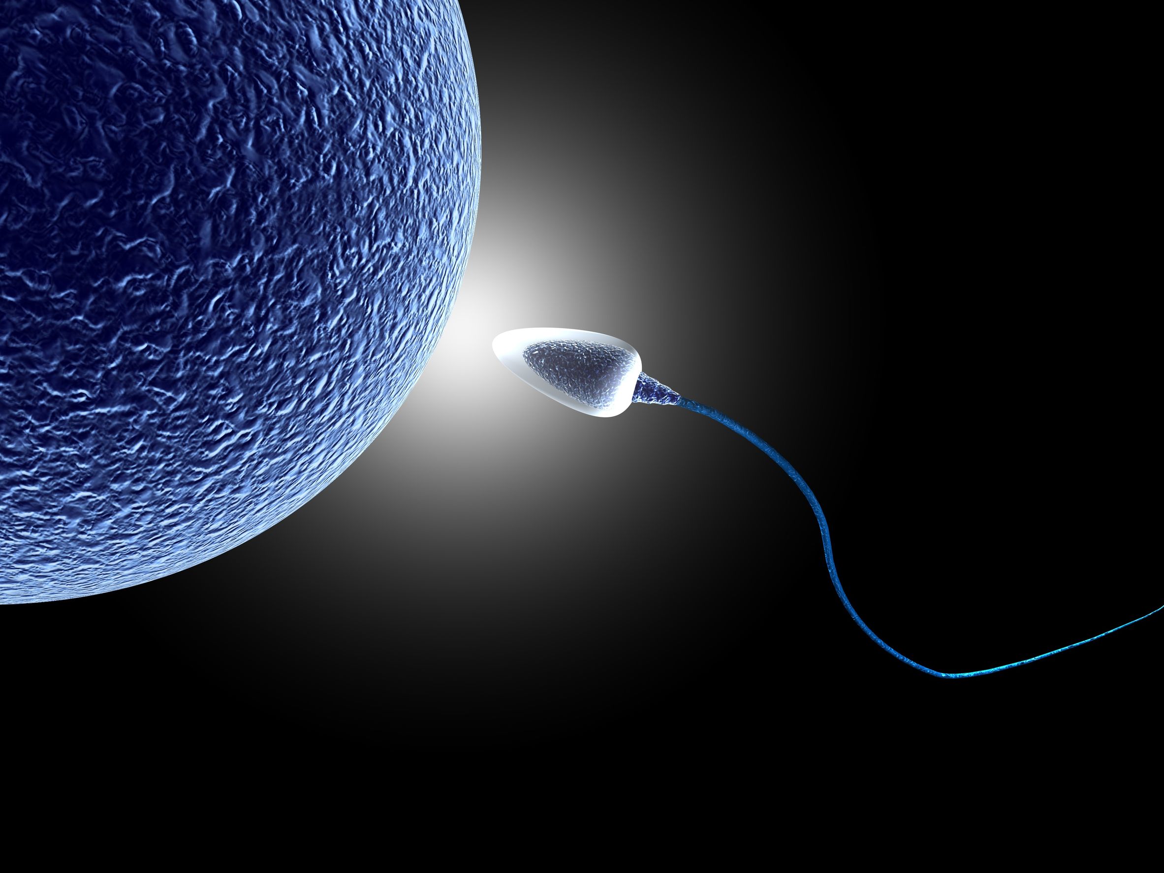 有精子未必就能怀孕！这些受孕条件你达标了吗？_精液