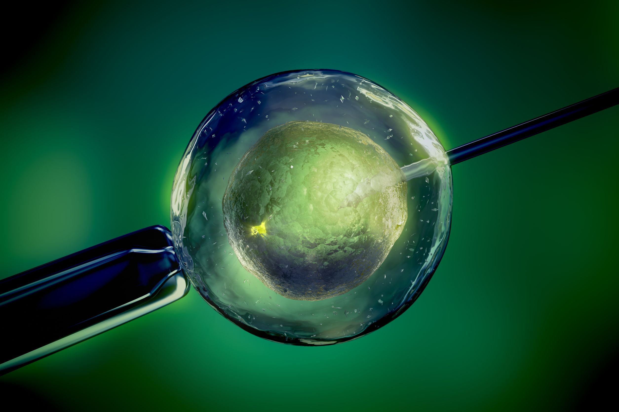 What You Need To Know Before You Start IVF Talking Fertility